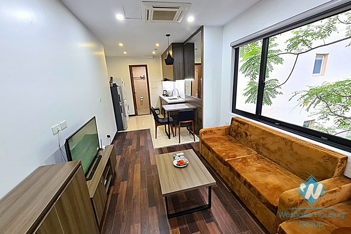 Nice and bright 1 bedroom apartment for rent in Ba dinh, Ha noi
